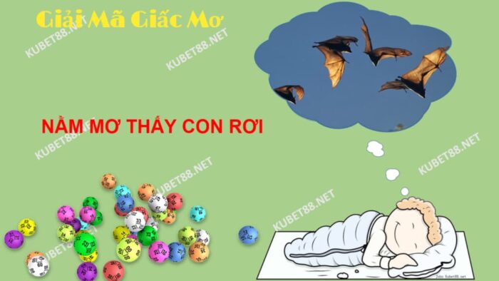 Ý nghĩa xung quanh giấc mơ thấy con dơi và con số lô đề chuẩn?