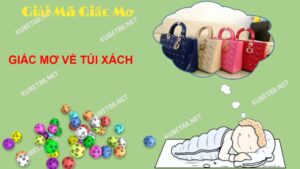 Giai ma giac mo ve tui xach