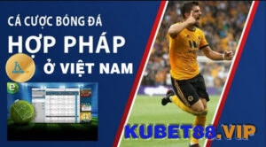 Cá cược hợp pháp ở Việt Nam ngành kinh doanh bùng nổ