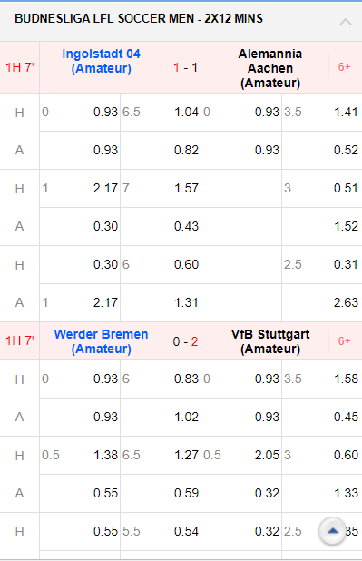 BUDNESLIGA LFL 5X5 - 2x12 MINS