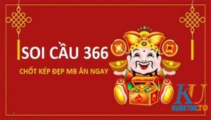 soi cau 366 anh dai dien