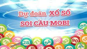 soi cau mobi anh dai dien